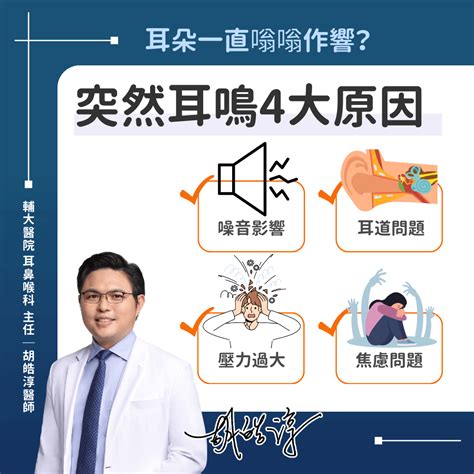 耳朵有聲音|耳鳴怎麼辦？耳鼻喉科醫師解析原因、治療、解決方法